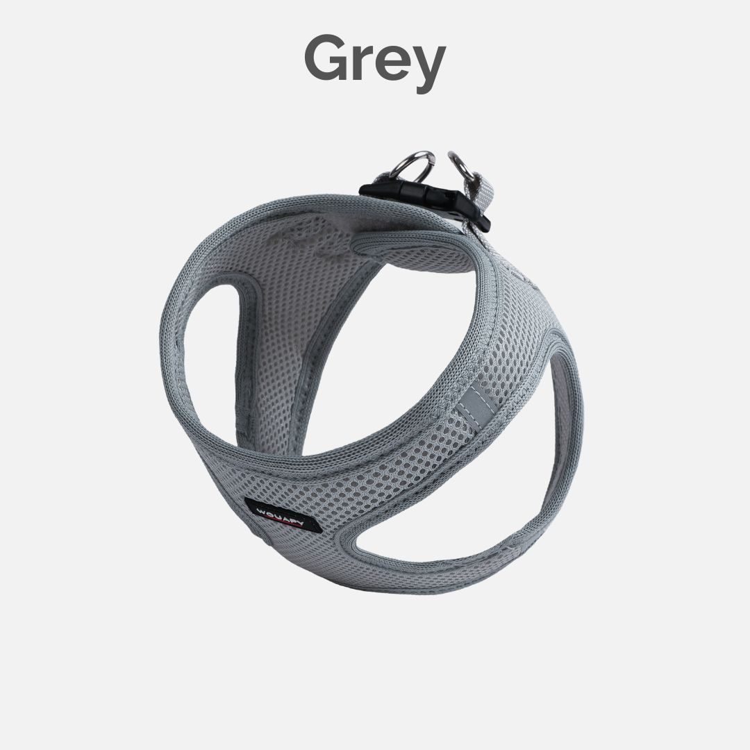 Harness Grey