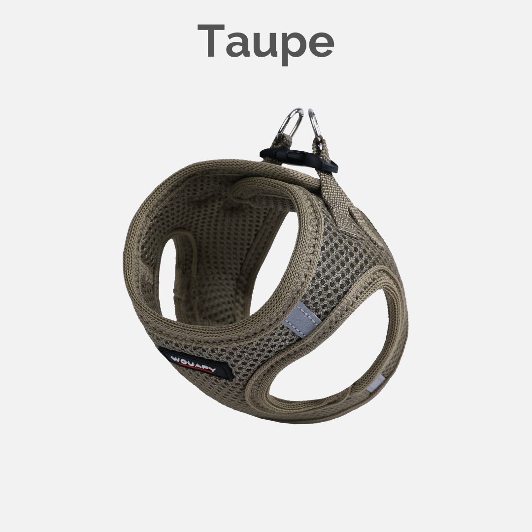 Harness Taupe