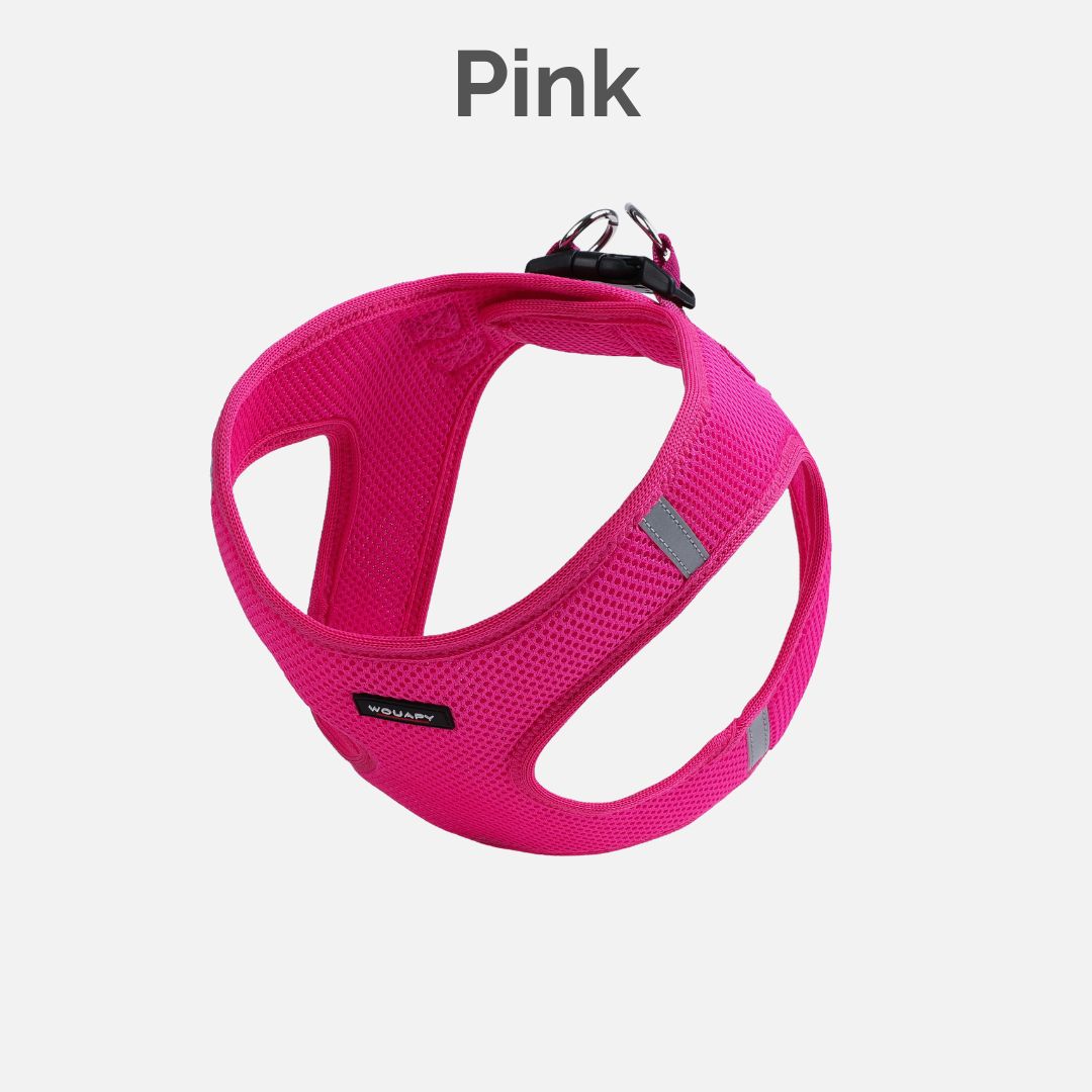 Harness Pink