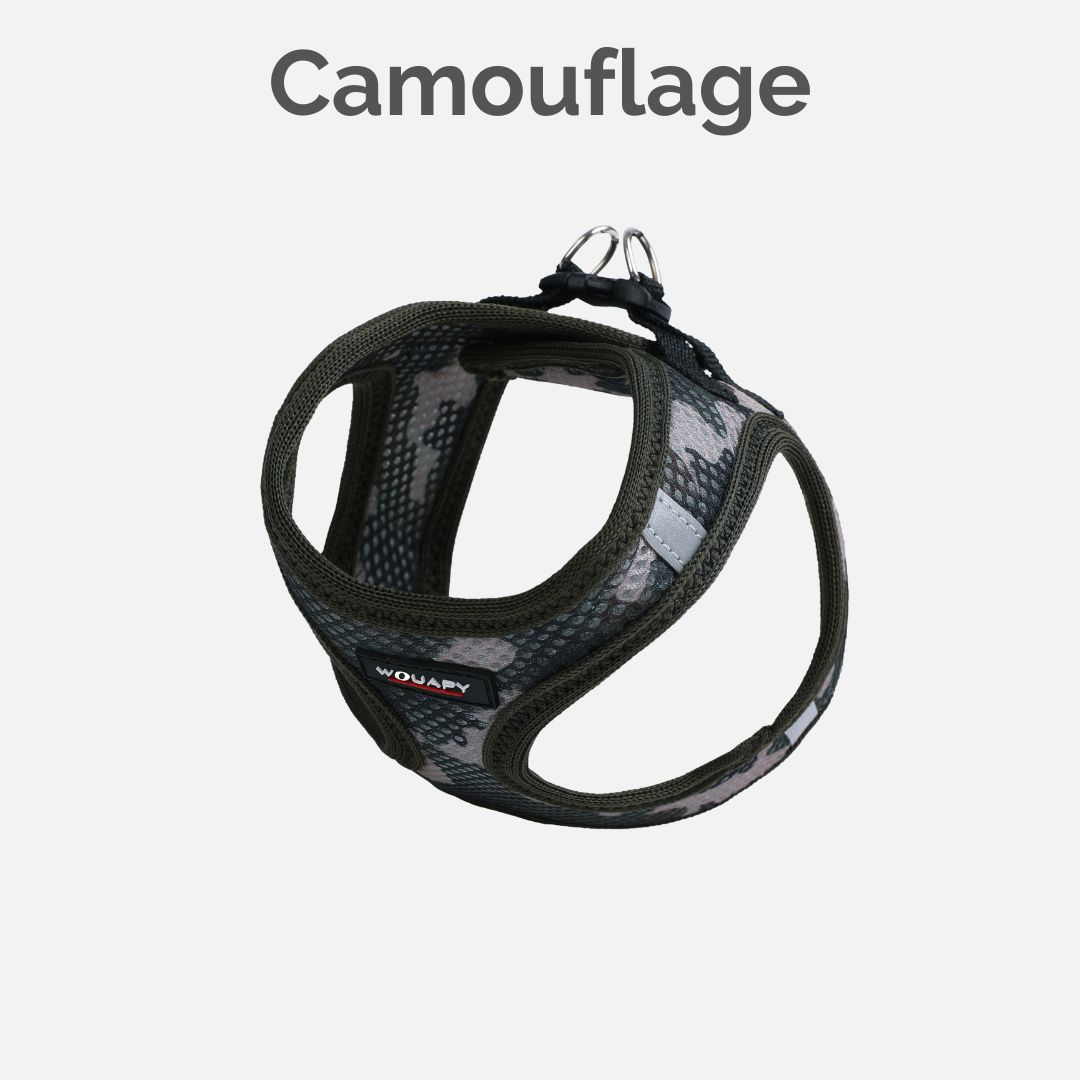 Harness Camouflage