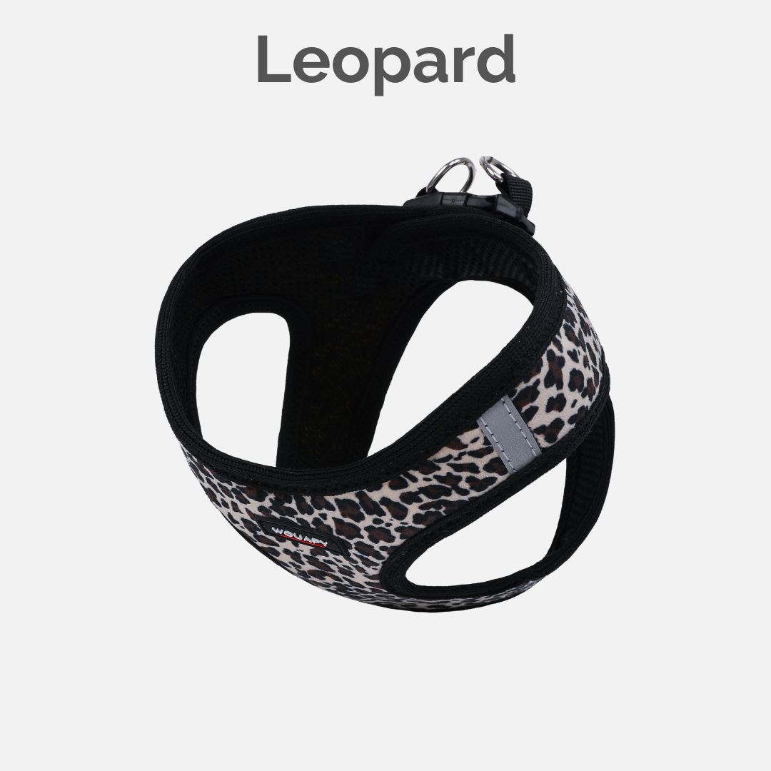 Harness Leopard