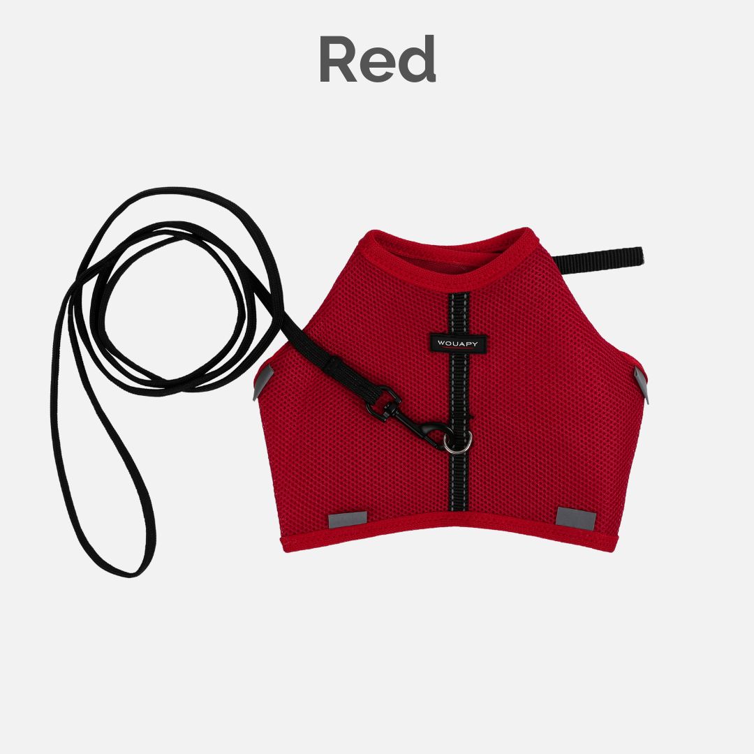 Soft harness for cats red