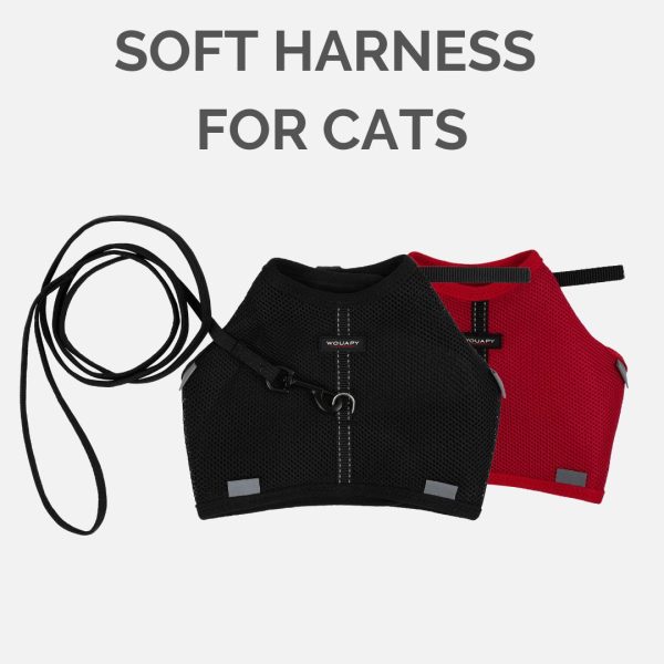 SOFT HARNESSES FOR CATS