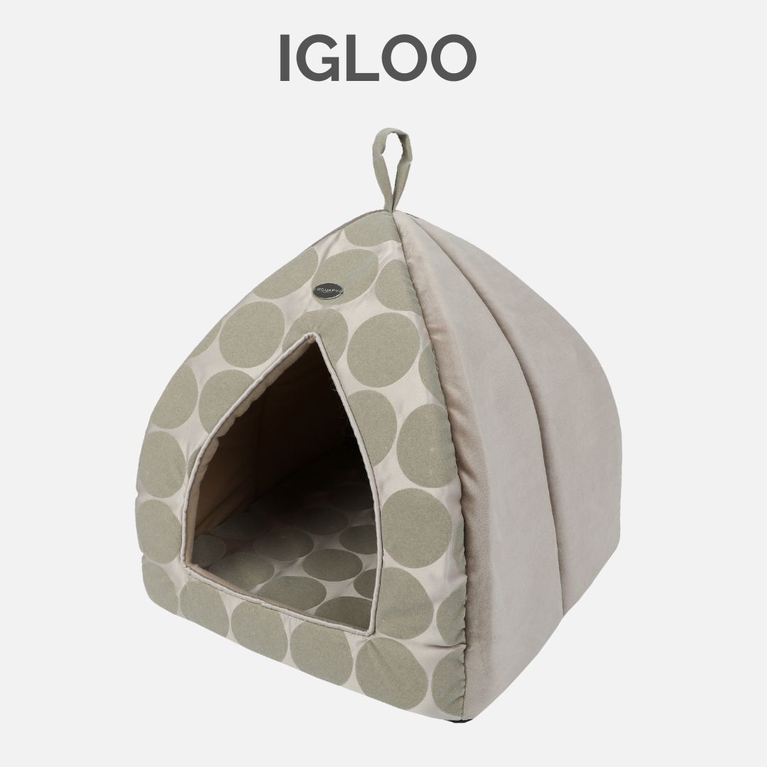 Spot collection Igloo