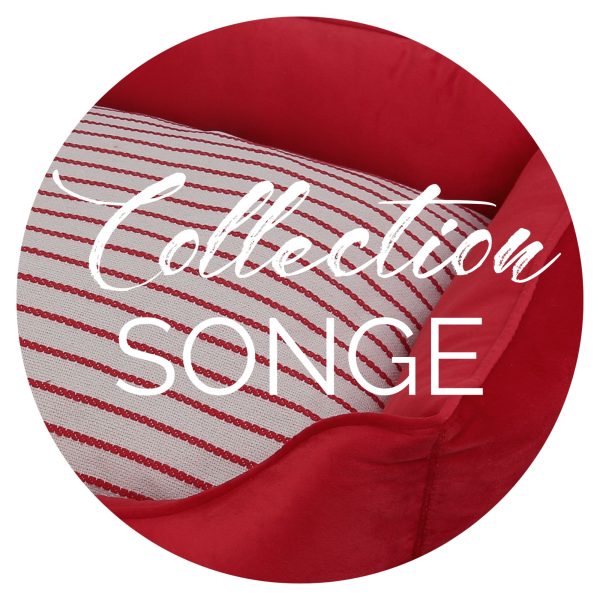 COLLECTION SONGE