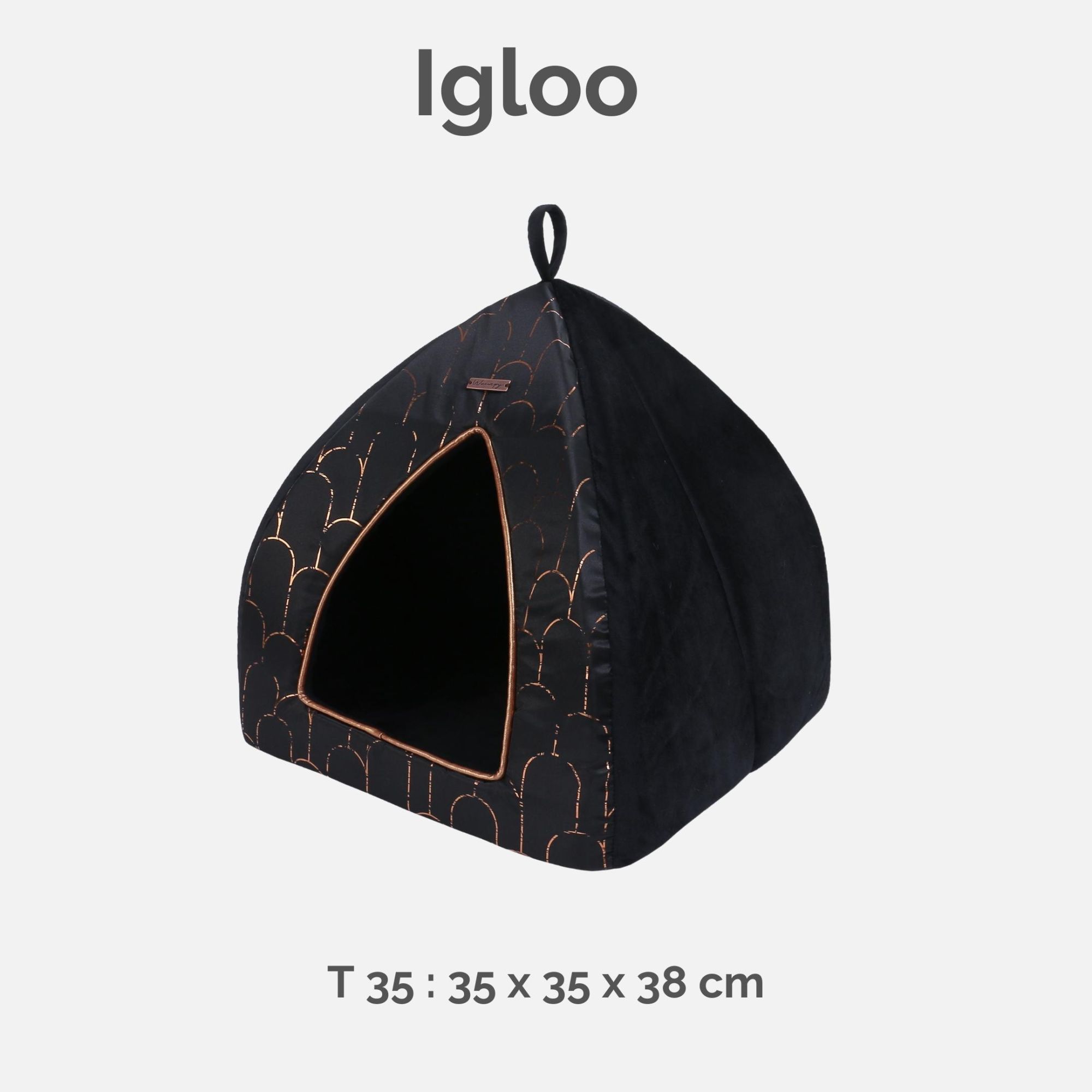 Igloo roof