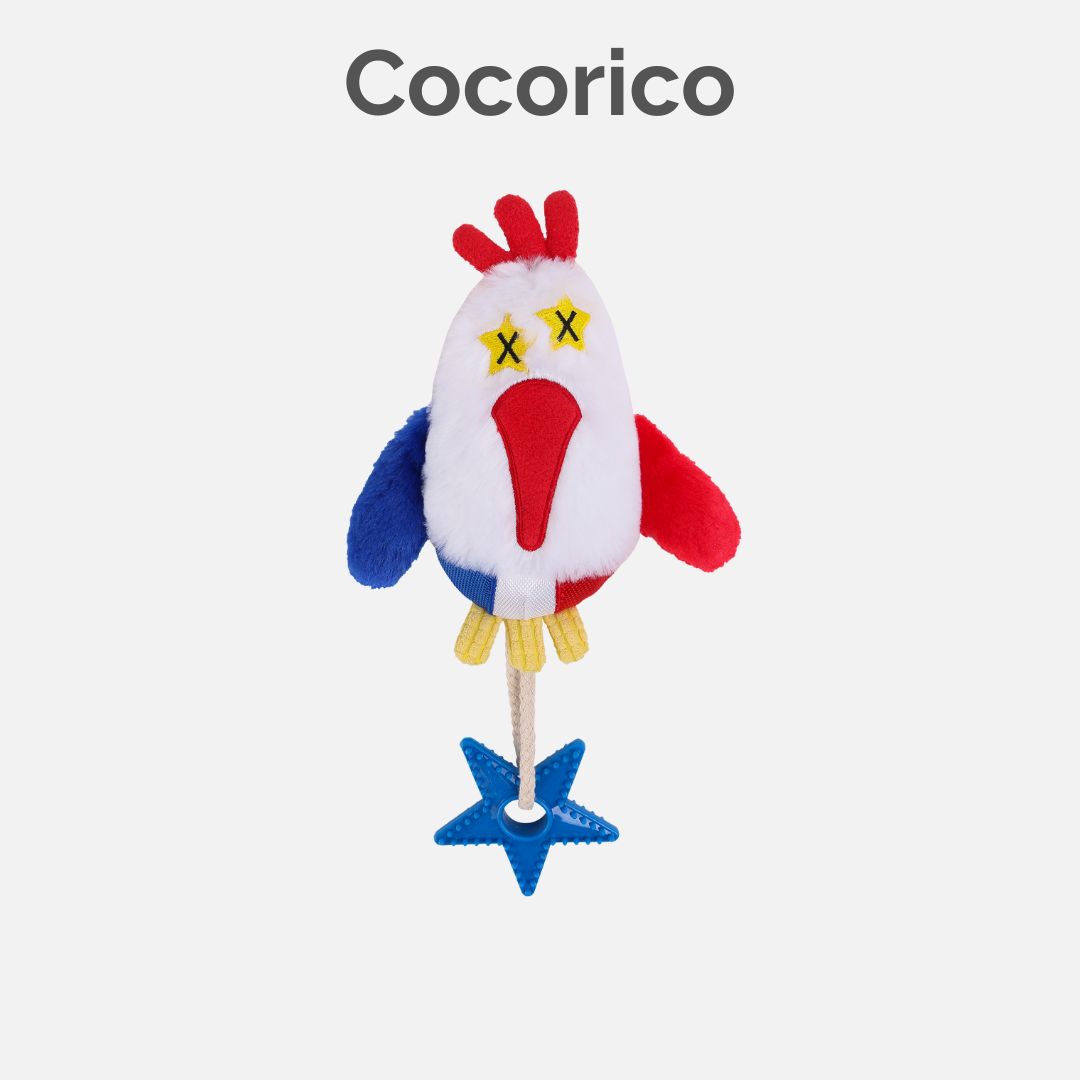 Dingo Cocorico