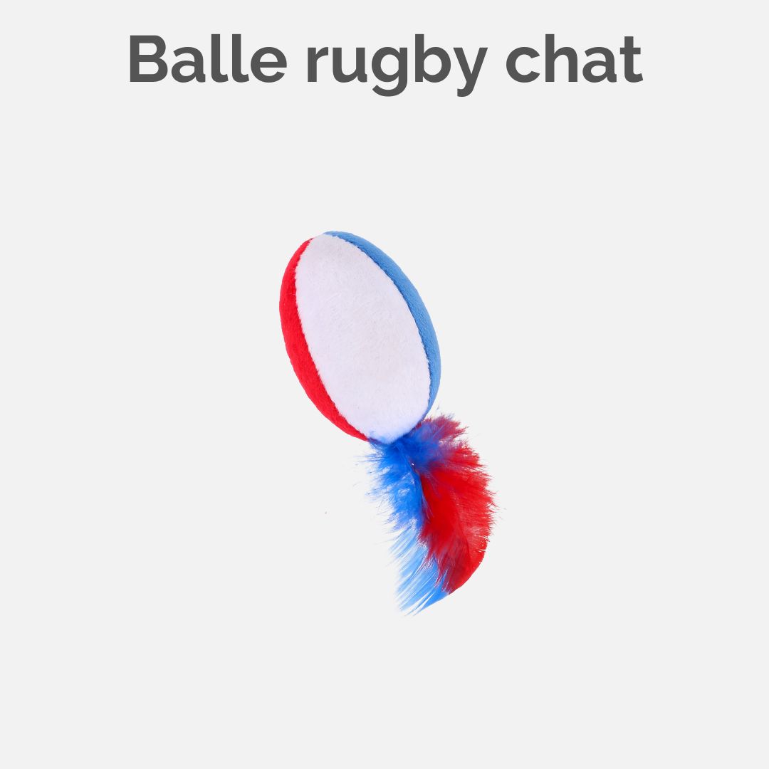 Balle rugby chat