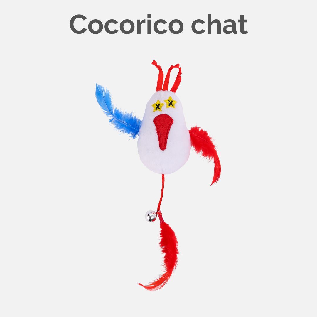 Cocorico chat