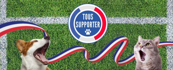 Tous supporter 