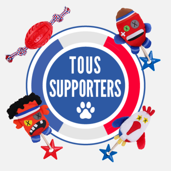 JOUETS CHIEN SUPPORTER FRANCE
