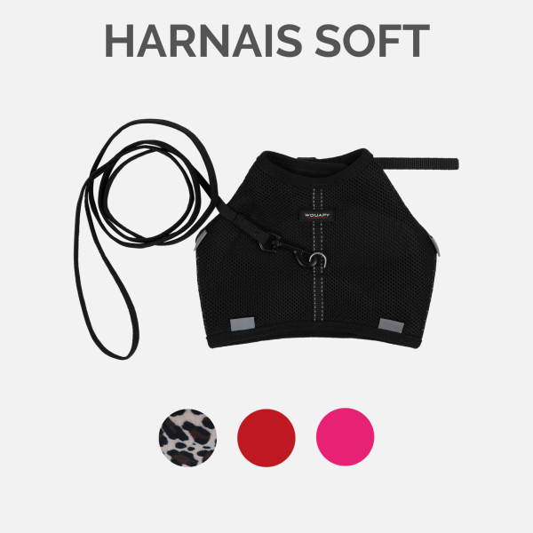 COLLECTION HARNAIS SOFT CHATS